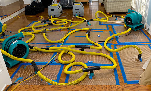 Professional Crawl Space Water Removal technician working in Wauconda, IL